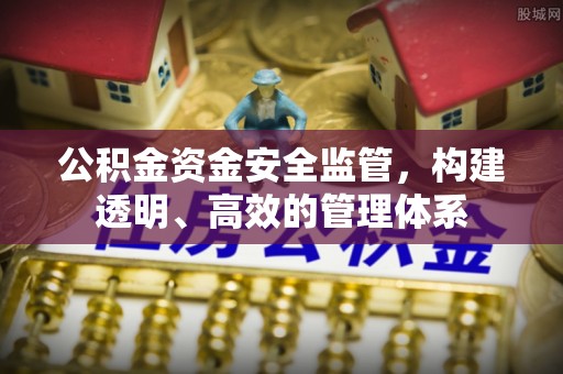 前进公积金资金安全监管，构建透明、高效的管理体系