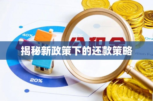 前进揭秘新政策下的还款策略