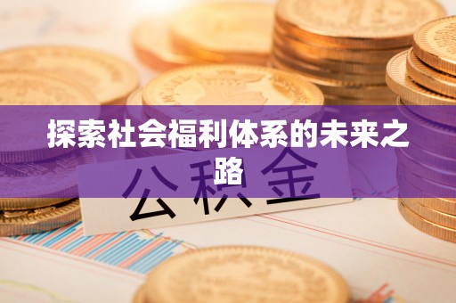 前进探索社会福利体系的未来之路