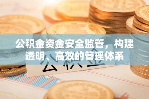 前进公积金资金安全监管，构建透明、高效的管理体系
