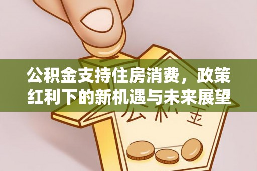 前进公积金支持住房消费，政策红利下的新机遇与未来展望