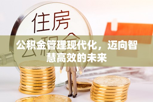 前进公积金管理现代化，迈向智慧高效的未来