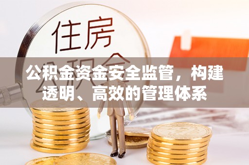 前进公积金资金安全监管，构建透明、高效的管理体系