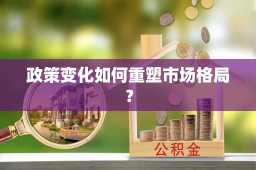 前进政策变化如何重塑市场格局？