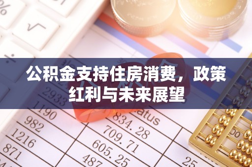 前进公积金支持住房消费，政策红利与未来展望