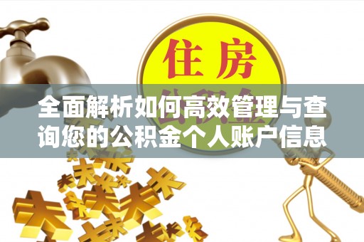 前进全面解析如何高效管理与查询您的公积金个人账户信息