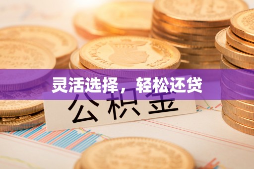 前进灵活选择，轻松还贷