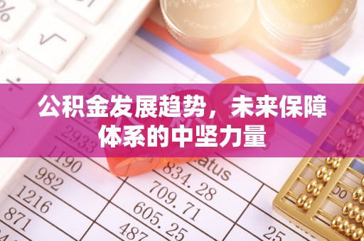 前进公积金发展趋势，未来保障体系的中坚力量