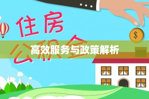 前进高效服务与政策解析