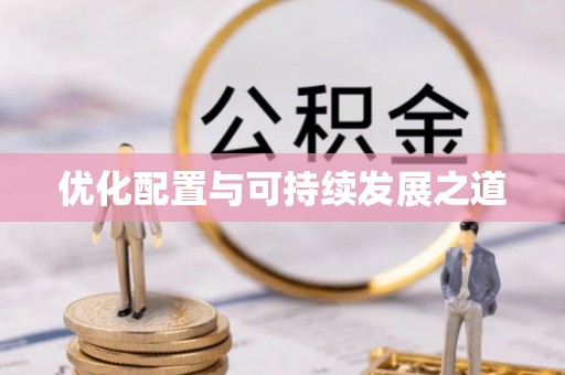 前进优化配置与可持续发展之道