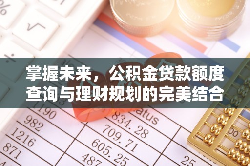 前进掌握未来，公积金贷款额度查询与理财规划的完美结合