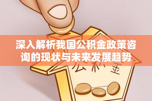 前进深入解析我国公积金政策咨询的现状与未来发展趋势
