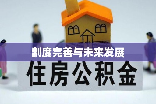 前进制度完善与未来发展