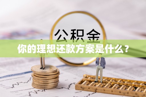 前进你的理想还款方案是什么？