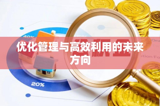 前进优化管理与高效利用的未来方向