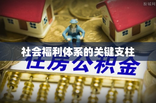 前进社会福利体系的关键支柱