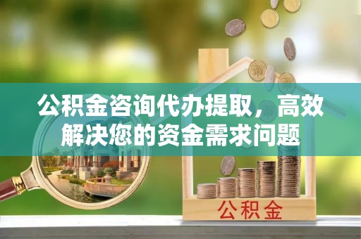 前进公积金咨询代办提取，高效解决您的资金需求问题