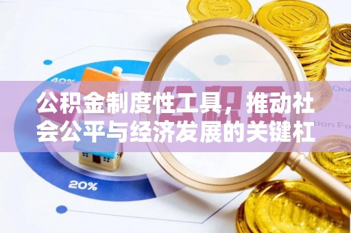 前进公积金制度性工具，推动社会公平与经济发展的关键杠杆