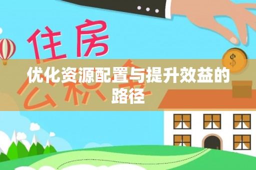 前进优化资源配置与提升效益的路径