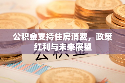 前进公积金支持住房消费，政策红利与未来展望