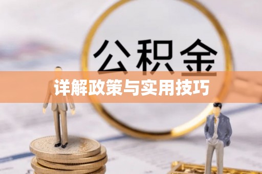 前进详解政策与实用技巧