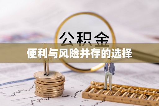 前进便利与风险并存的选择