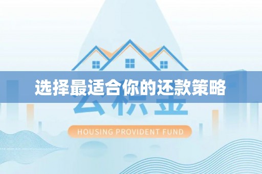 前进选择最适合你的还款策略
