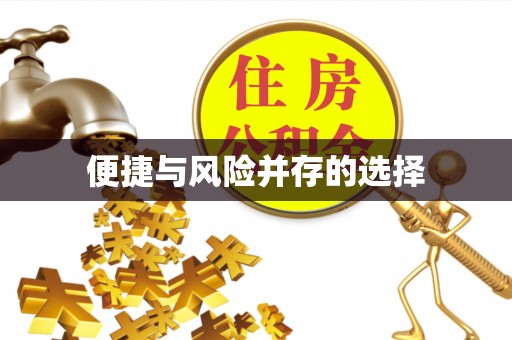 前进便捷与风险并存的选择